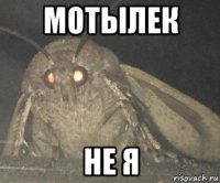 мотылек не я