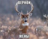 верной жены