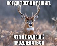 когда твердо решил, что не будешь продлеваться