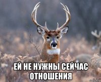  ей не нужны сейчас отношения