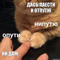 Дась паести и отпутю Ни дам