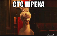 стс шрека 