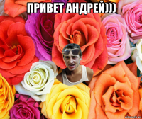 привет андрей))) 