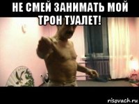 не смей занимать мой трон туалет! 