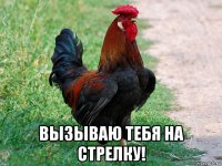  вызываю тебя на стрелку!