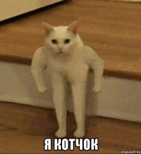  я котчок