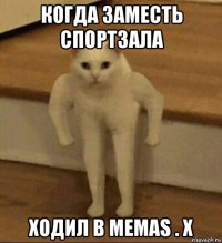 когда заместь спортзала ходил в memas . x