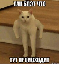 так блэт что тут происходит