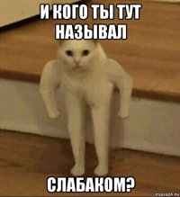 и кого ты тут называл слабаком?