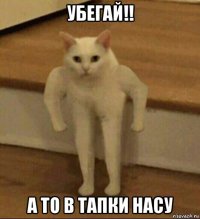 убегай!! а то в тапки насу