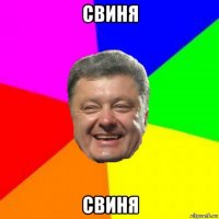 свиня свиня