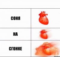 Соня на сгонке