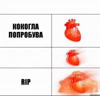 кокогла попробува  rip