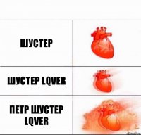 шустер шустер lqver петр шустер lqver