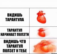 видишь тарантула тарантул начинает ползти видишь что тарантул ползет к тебе