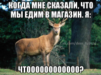 когда мне сказали, что мы едим в магазин. я: чтоооооооооооо?