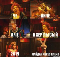 че ниче а че а хер лысый 2019 МАЙДАН ЧЕРЕЗ ПЛЕЧО