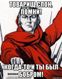 товарищ слон, помни! когда-то и ты был бобром!