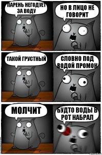 Парень негодует за воду Но в лицо не говорит Такой грустный Словно под водой промок Молчит Будто воды в рот набрал