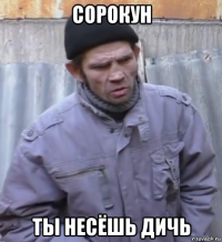 сорокун ты несёшь дичь