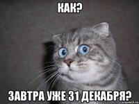 как? завтра уже 31 декабря?