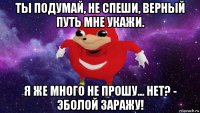 ты подумай, не спеши, верный путь мне укажи. я же много не прошу... нет? - эболой заражу!