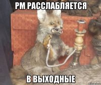 pm расслабляется в выходные