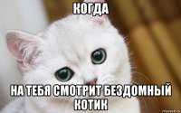 когда на тебя смотрит бездомный котик