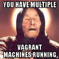you have multiple vagrant machines running