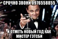 срочно звони 0976558855 и отметь новый год как мистер гэтсби