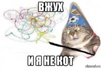 вжух и я не кот