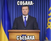 собака- съебака