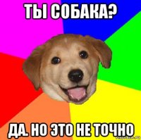 ты собака? да. но это не точно