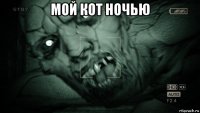 мой кот ночью 