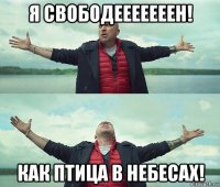 я свободееееееен! как птица в небесах!