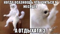 когда осазноешь что учиться 9 месяцев а отдыхатя 3