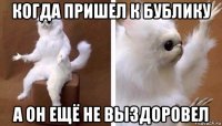 когда пришел к бублику а он ещё не выздоровел