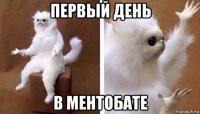 первый день в ментобате