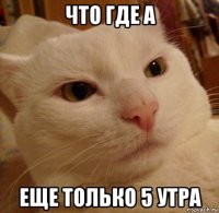 что где а еще только 5 утра