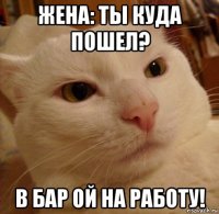 жена: ты куда пошел? в бар ой на работу!