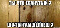 ты что ебанутый ? шо ты там делаеш ?