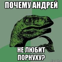 почему андрей не любит порнуху?