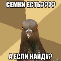 семки есть???? а если найду?