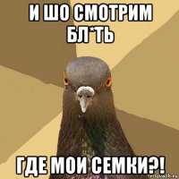 и шо смотрим бл*ть где мои семки?!