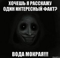 хочешь я расскажу один интересный факт? вода мокрая!!!