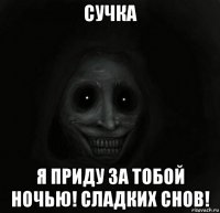 сучка я приду за тобой ночью! сладких снов!