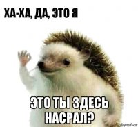  это ты здесь насрал?