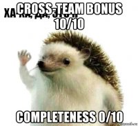 cross-team bonus 10/10 completeness 0/10