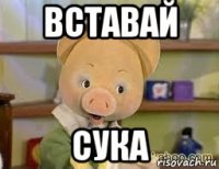 вставай сука