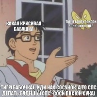 Какая крисивая бабушка Ты чё блять гондон вонючий я тигр Тигр(бабочка):-ИДИ НАХ СОСУНОК. А ТО СПС ДЕЛАТЬ БУДЕШЬ, (спс;-соси писюн сука)